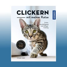 Clickern mit meiner Katze |