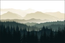 VLIES FOTOTAPETE XXL TAPETE