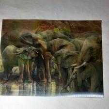3D Lentikular Poster Elefanten Wildtiere Safari Kunst wechselnde Bilder Deko Geschenk