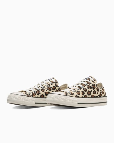 31311780 converse all - all, star