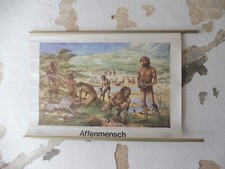 alte Rollkarte Schulwandtafel