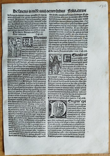 Antonius felicula original - felicula,