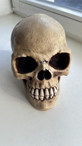 Schädel modell gothic - schädel,