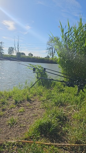 Fox horizon duo - fox, 3