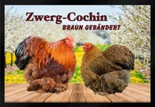 Fußmatte Schmutzfangmatte