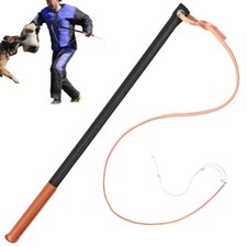 Hundetraining Peitsche