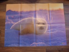 Tierposter Junge Sattelrobbe