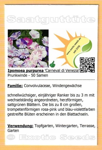 Ipomoea purpurea carneval di - purpurea, 'carneval