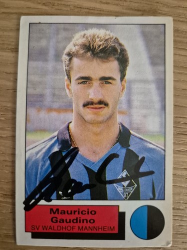 Gaudino waldhof mannheim - gaudino,