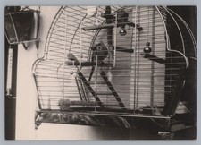 Vogelkäfig Wellensittich -