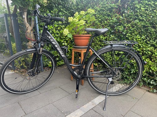 Damenrad stevens esprit - stevens, sx