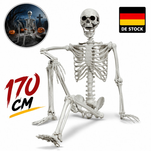 Anatomie halloween skelett - anatomie,