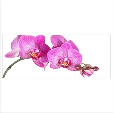 Glasbild 125x50 XL Orchidee