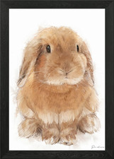 Niedliches braunes Kaninchen