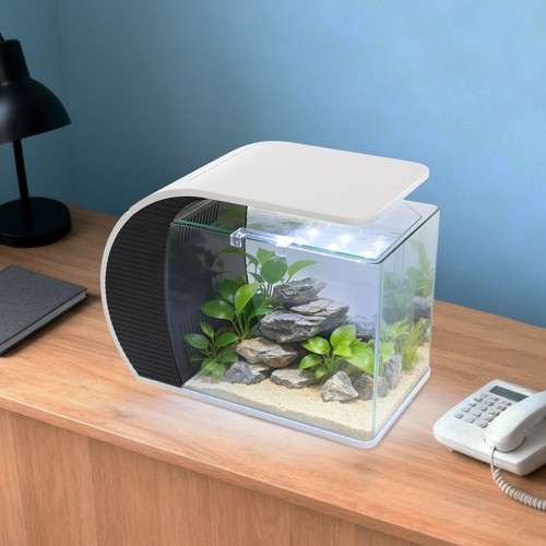 Kleines glas aquarium mit - glas-aquarium,