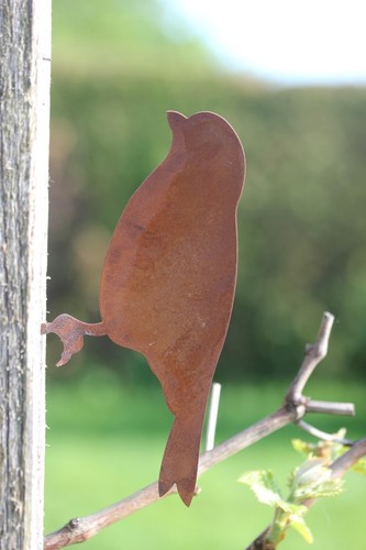 Vogel spatz - vogel, a