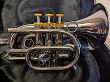 Taschentrompete Carol Brass