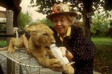 Inge Meysel Lion Park