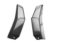 Carbon Kühlerverkleidung (Oberes Teil) für Ducati Streetfighter V4 2020-