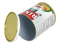 Dosensafe Rinti Dosentresor Geheimversteck Dosenversteck Stasher