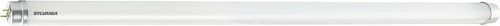 Sylvania toledo neos ccg - t8,