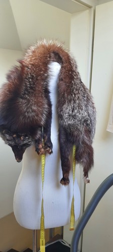 Fuchs silberfuchs grau - fuchs,