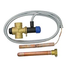 Thermische Ablaufsicherung DN