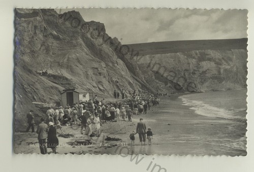 Iw001 isle wight - -,