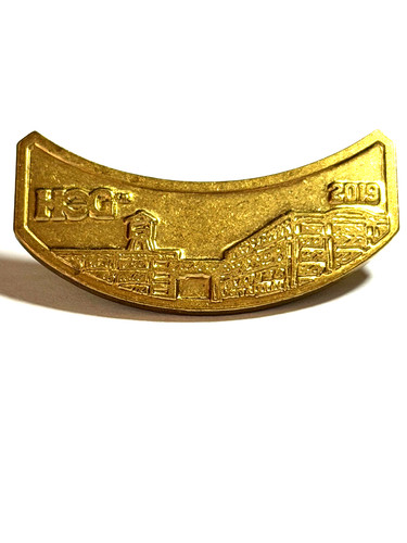 Pin harley davidson - pin,
