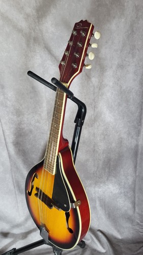 Beautiful bluegrass mandolin - beautiful,