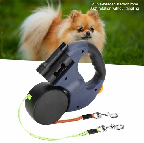1000m hund ausbildung - hund,