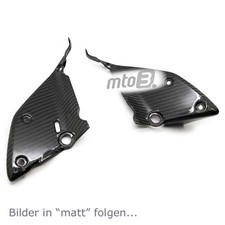 Carbon Lufteinlass Abdeckungen für Ducati Streetfighter V4 / S 2020-2024