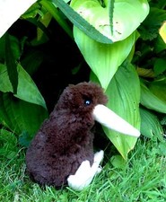 NEUSEELAND Stofftier mini KIWI
