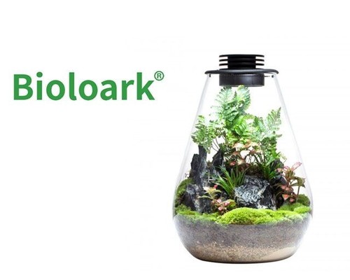 Bioloark wabi kusa - wabi, bio