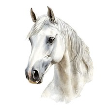 100x stickers horse - stickers,