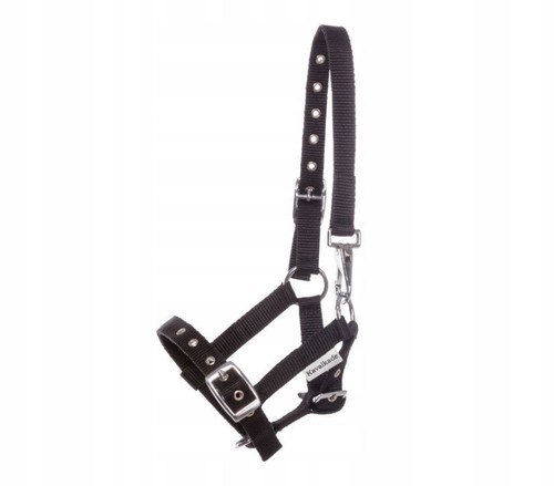 Foal halter black - foal,