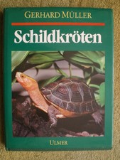 Schildkröten -