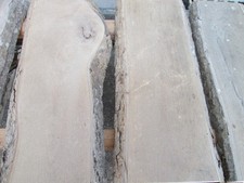 6 x Eschenholz, Esche