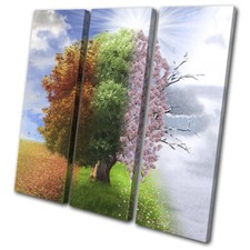 Vier Jahreszeiten Baum