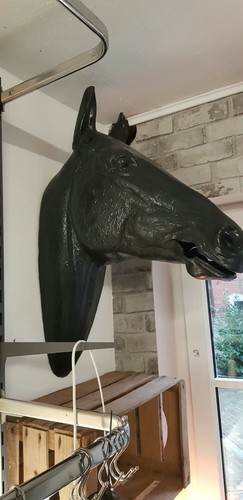 Pferdekopf lebensgroß - pferdekopf,