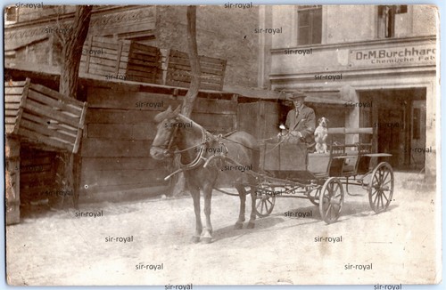 Berlin 1917 kutsche - kutsche, jack