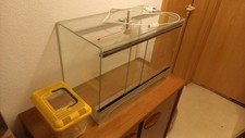 Glas Terrarium 60x40x30cm 72l inkl. Fassung für Wärmelampe + gratis Transportbox