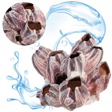 Aquarium Dekorative Muschel