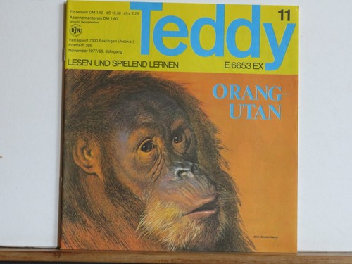 Teddy lesen und spielend - teddy,