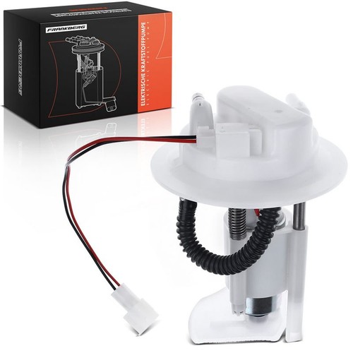 Frankberg kraftstoffpumpe - frankberg,