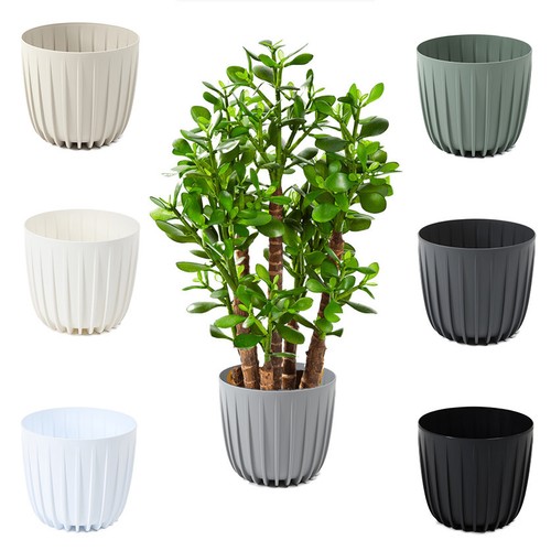 Blumentopf pflanztopf - blumentopf,