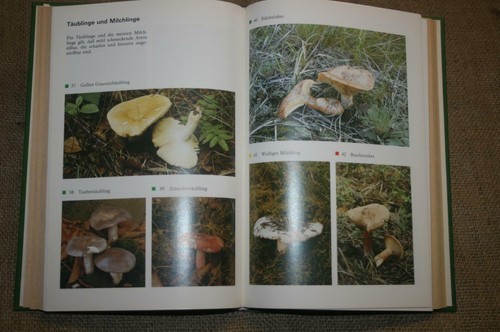 Ddr kochbuch pilze 200 - ddr-kochbuch,