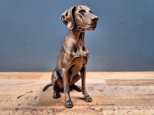 Deutsch kurzhaar - deutsch,