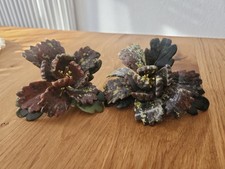 Edelsteinblüten von klaus - edelsteinblüten,