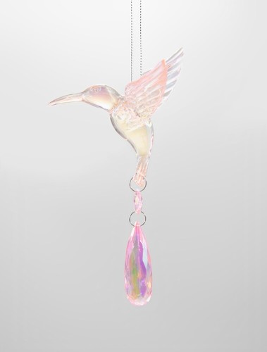 Kurt adler vogel kolibri - adler,